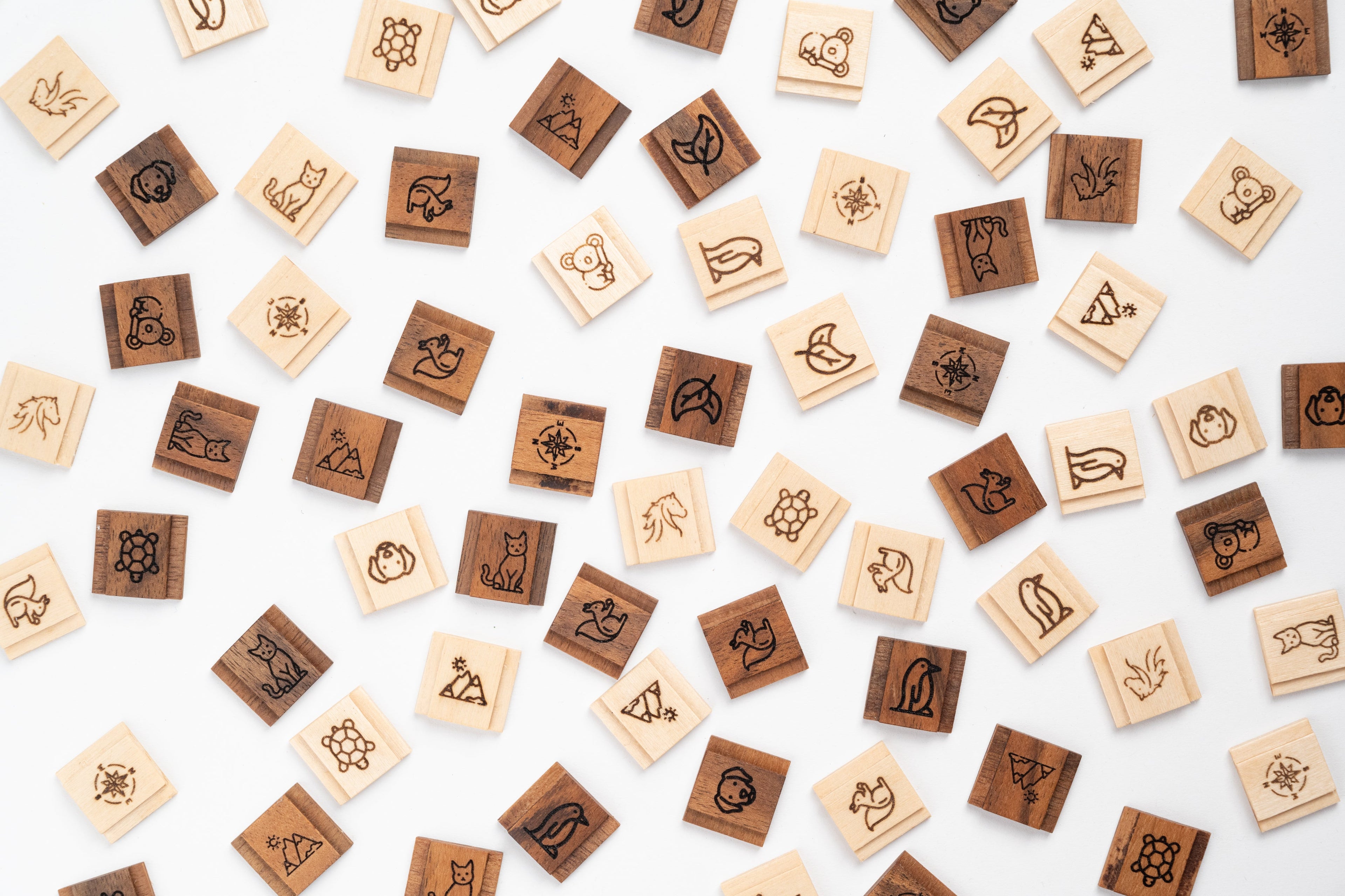 Blitzschuhabdeckungen